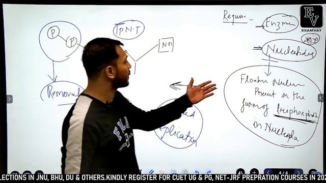 DNA REPLICATION | LECTURE-02 | CUET PG | CUET PG 2023 #cuet #cuet2023 #cuetpg #dna #genetics