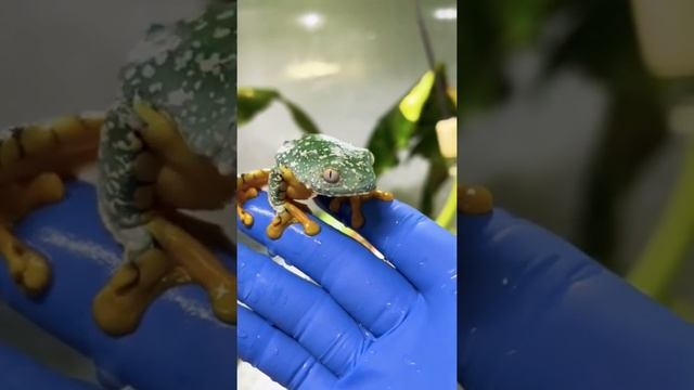 Da6f4a1f1565628b81fb81b5700b7c9a