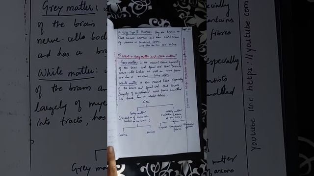 Introduction To Nervous System | Anatomy | Physiology | MBBS | Medical Students | Notes | Brain |CN