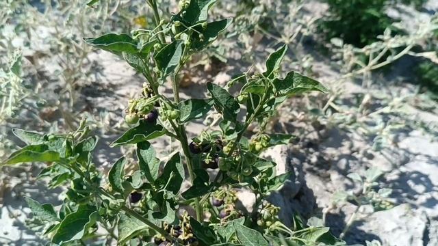 Ab200f3536be1845635ac61a555cee51