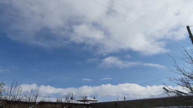 Такого снегопада давно не помнят здешние места  / Magic Snow #Собака#Dog#개#狗