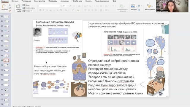 Нейрофизиологический Подход К Исследованию Восприятия  Когнитивная Нейрология