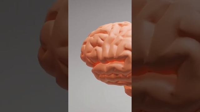 Human Brain |Brain Is The Most Important Part Ko Human Body #humanbrain #amazing #healthiswealth