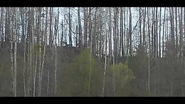 9b7fdbb0b3da1dc80f58f9193fd47613