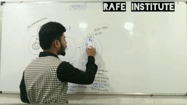 Cell Division - Part-7 || Mitosis - Prophase Metaphase Anaphase Telophase