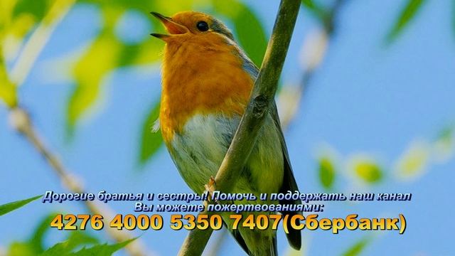 Апостол, Евангелие и Святые дня. Мироносицы равноап. Мари́и Магдалины (I). (04.08.24)