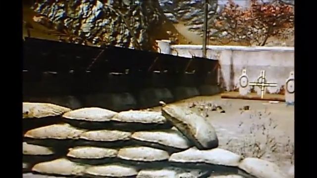 читы для варфейс