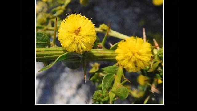 8ea0b4243299f868a530de9af2998a6d