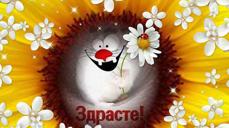 Здравствуй Добрый Человек, Снежана Александровна!