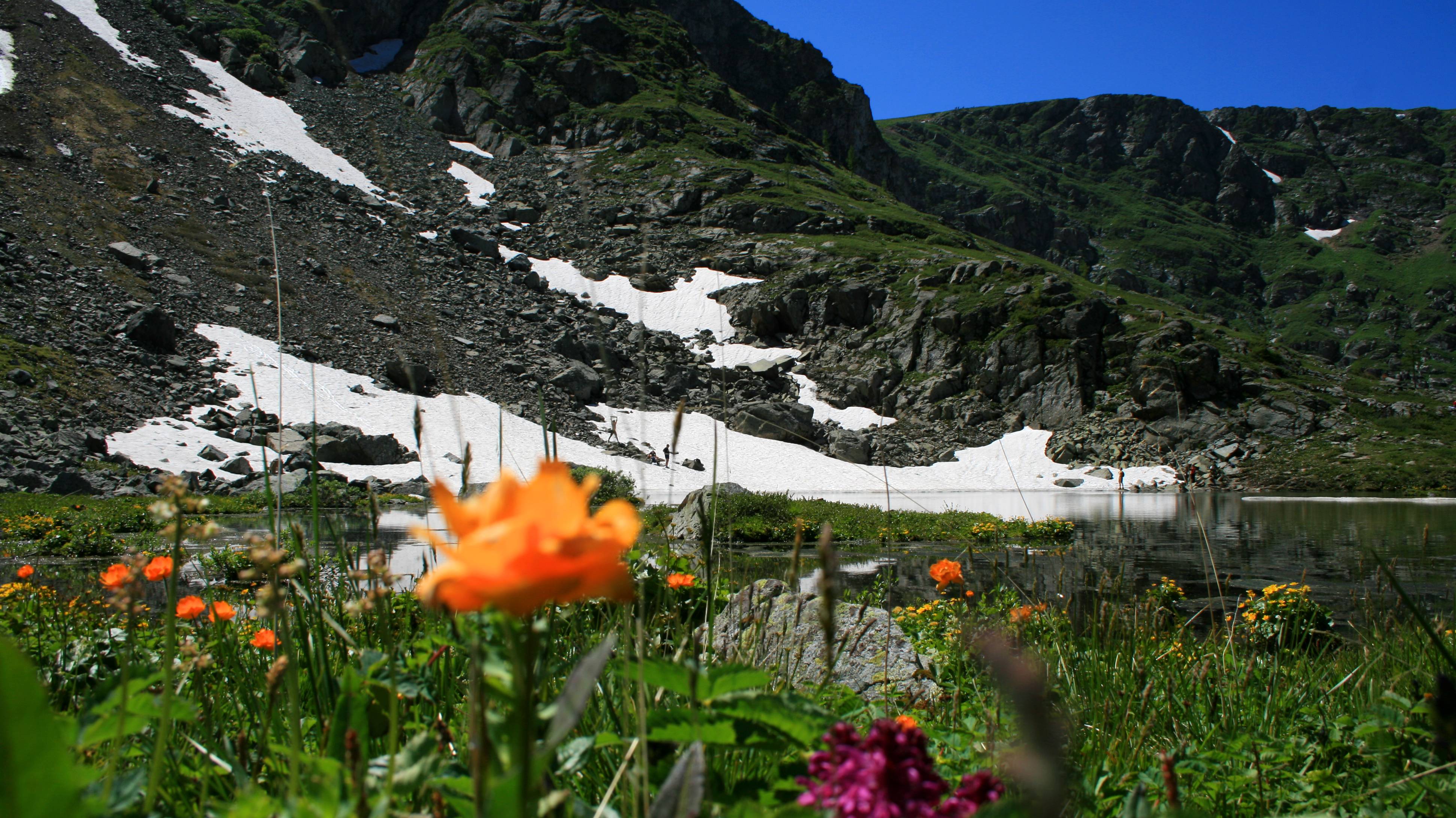 Путешествие по Горному Алтаю