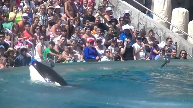 One Ocean (Full Show/Full HD) September 11, 2014 - SeaWorld San Diego
