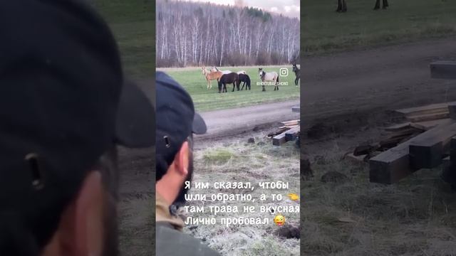 Диалоги с животными #throatsinging#горловоепение #shono#ethnicmusic#лес#байкал#единениесприродой