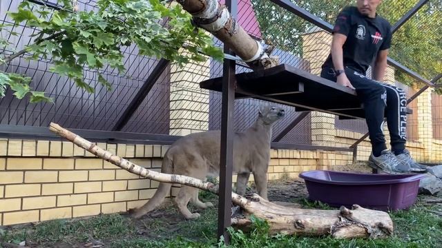 Лондон отдал маме свою добычу