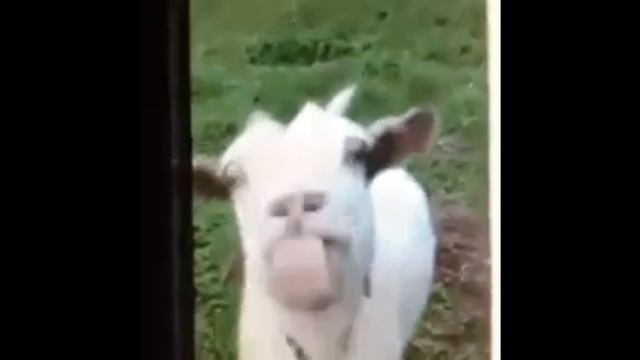 #1 Warface - Баги приколы фейлы