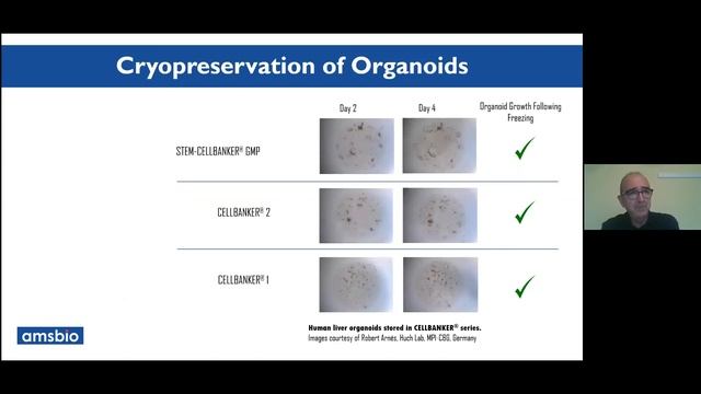 Systems And Solutions For Advanced Organoid Research