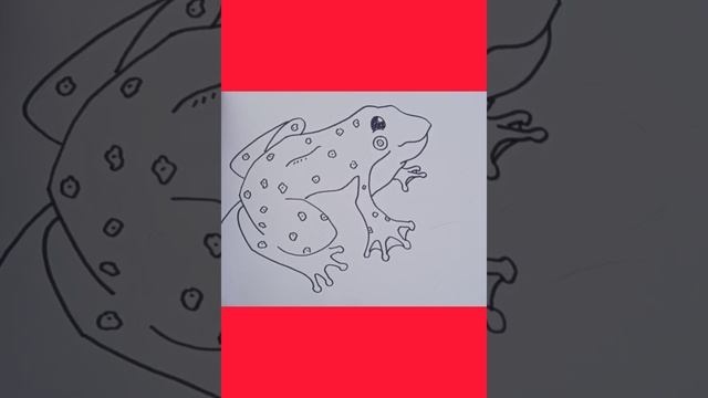 Drawing frogs is very easy