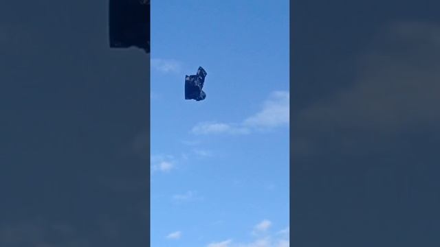 12.06 календарь цветения цфо, тимьян чабрец, ясколка, гвоздика #сад #plant #garden #flower #дача