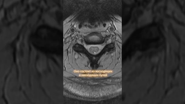 Главный провод ⚡️в оргазиме