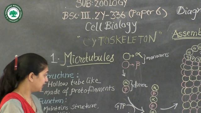 T.Y.Bsc (Zoology) Paper-VI Cell Biology || Topic-Cytoskeleton (Lec-1) || By Prof. Bendre N.N.