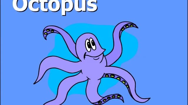 Invertebrates For Kids.