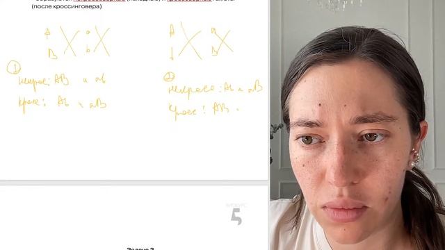 ВСЕ типы 28 задач по генетике за 1 час
