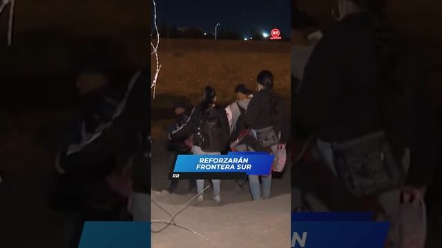 Arresto Y Multas A Agresores De Mascotas - Resumen Informativo