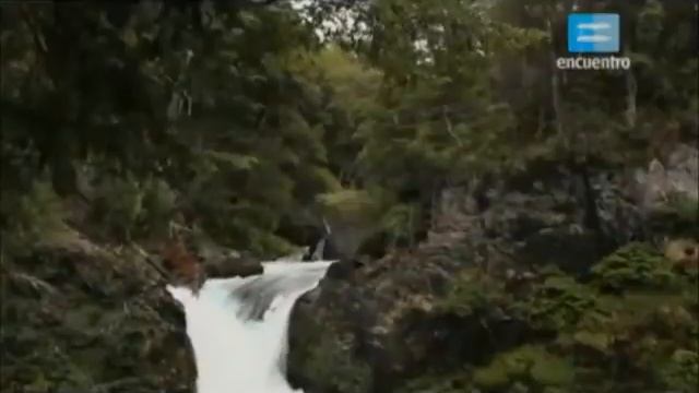 Región Patagonia: Bosques Y Mesetas.