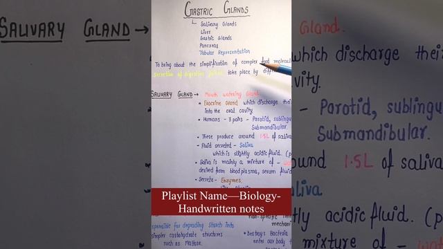 Gastric Glands---Digestive System || Biology || General Science || Handwritten Notes|| An Aspirant