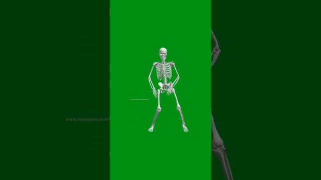 2729e1f13e405ee83fc380cc00a77879