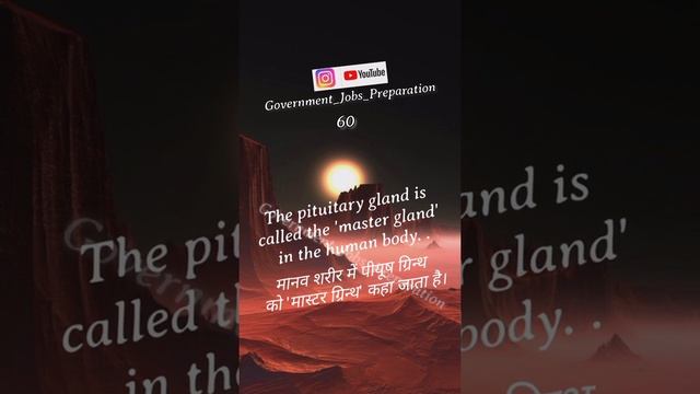 Pituitary Gland Called Master Gland #pituitarygland #pituitary #gland #mastergland