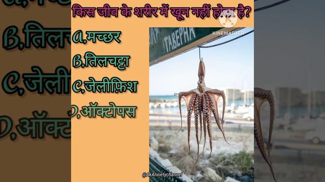 किस जीव के शरीर में खून नहीं होता है?Hind Gk Question And Answer