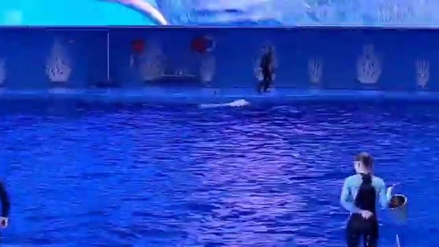 отпуск во Владивостоке.