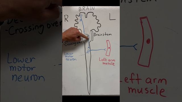 266374f132391dc11579fcb18ae6dee1