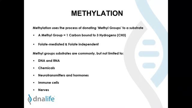 A Review On Genetic Testing Of Oxidative Stress And Methylation