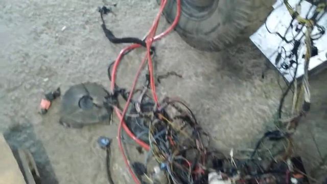 Нервная система уаза