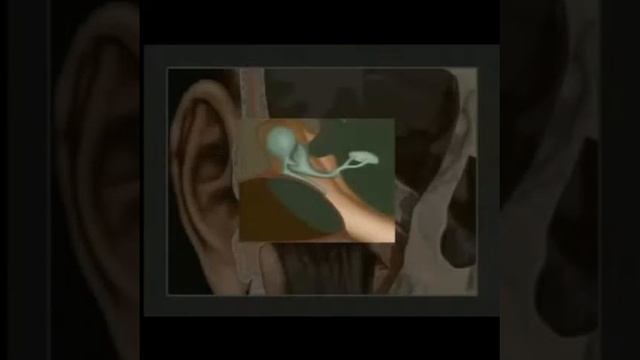 Be84797d8626d4285cb554b6fbbc4dd7