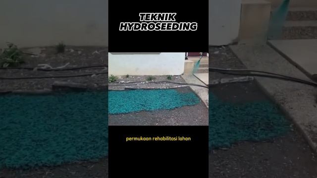 F48dc79a6d32da6d79daf58e449272f0