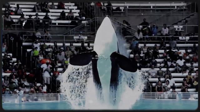 55adc52de5c8823a6b6018bc37c1fe30