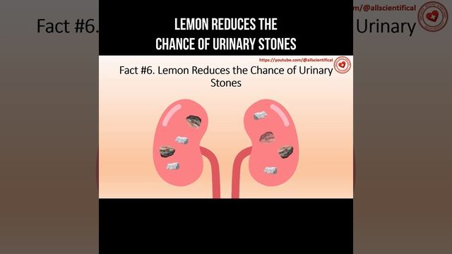 Lemon Reduces The Chance Of Urinary Stones #lemon #kidneystone #kidney #urinarysystem