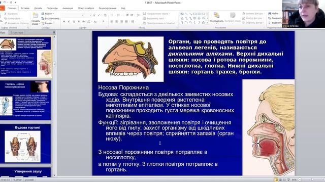 дихальна система