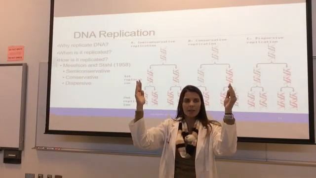DNA Structure, Replication, And Organization- Dr.  Jessica Guerrero