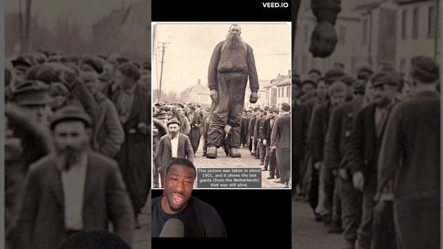 The Last Giant Of The Netherlands #giant #nephilim  #neanderthals #titan