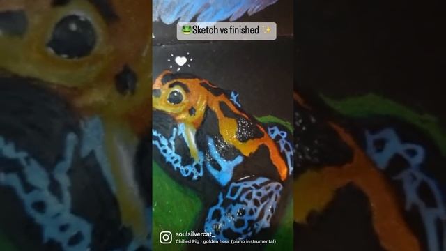 🐸 Sketch Vs Finished Piece ✨