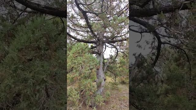 Отличная дорога через гору для прогулки любой компанией