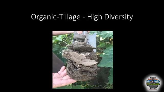 Gabe Brown - How To Save Money On Fertilisers