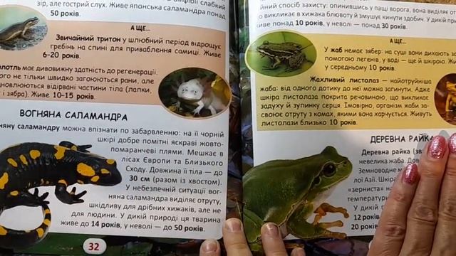 Книга 