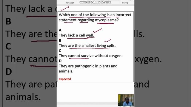 Which One Of The Following Is An Incorrect Statement Regarding Mycoplasma?  AThey Lack A Cell Wall.