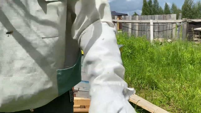 Пасечник. Пчёлы 2021