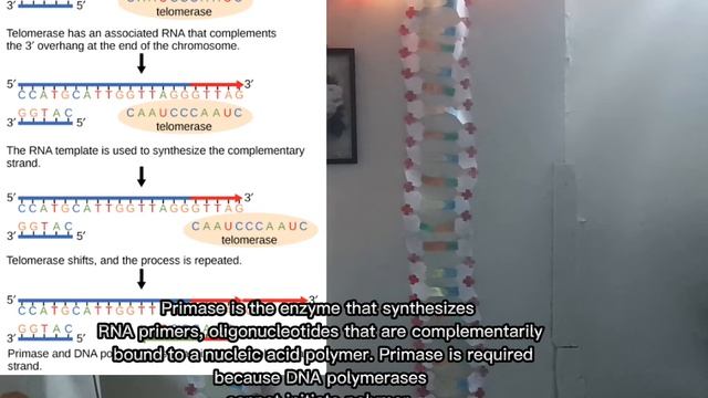 Dafa5b763f4a0a3f4221214c342c89b6