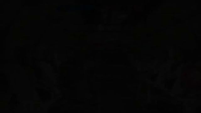 Рогуе Компани , пробую новую игрушку!!!